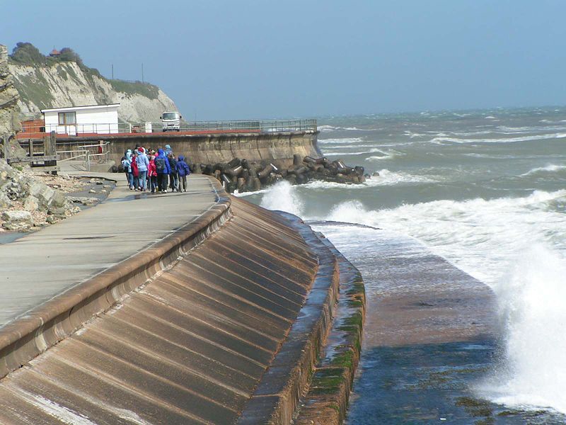 3 Types of Sea Walls: Which Is Best for Your Waters? | Renegar