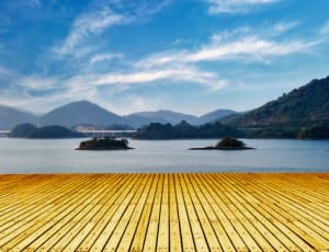 docks & dock systems