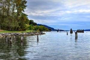 Shorelines & Seawalls