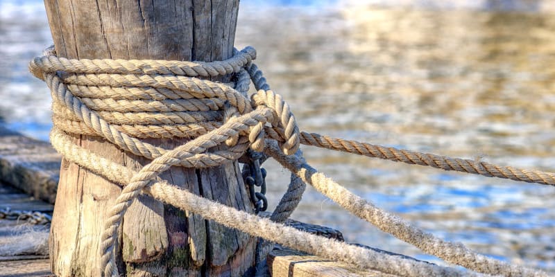 Signs You Need a New Dock